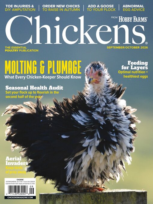Cover image for Chickens